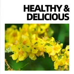 Live Lightly - Mullein Leaf Tea Bags - Image 6