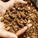 Organic Dandelion Root-Nature’s Liver Guardian - Image 6